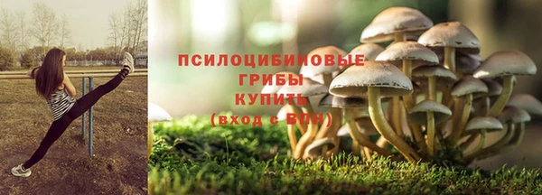 МДПВ Балахна