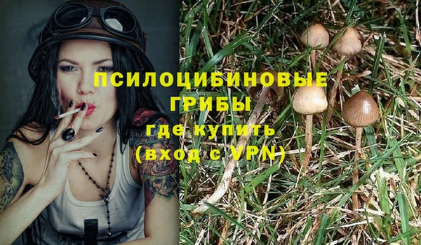 гидропоника Аркадак