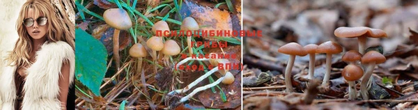 гашиш Балабаново