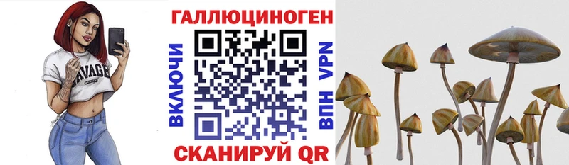кракен ССЫЛКА  Пласт  Галлюциногенные грибы Cubensis 